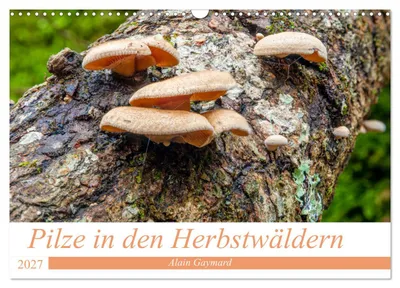 Produktbild von Pilze in den Herbstwäldern (Wandkalender 2027 DIN A3 quer), CALVENDO Monatskalender