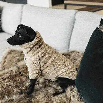 Produktbild von Kentucky Dogwear Hundepullover Teddy Fleece, Größe:S/M, Farbe:beige