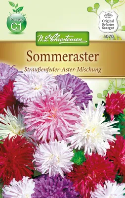 Produktbild von Sommeraster Straußenfeder | Asternsamen von N.L. Chrestensen