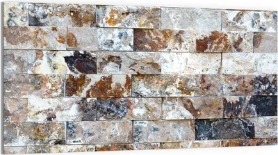 Produktbild von DEQORI Glasbild Echtglas 100x50 cm 'Natürliche Vielfalt' Wandbild Bild modern Deko