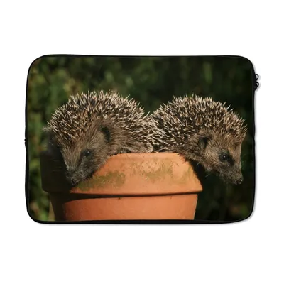 Produktbild von MuchoWow® Laptop Hülle 14 ZollZwei Igel auf einem Topf Laptoptasche - Laptoptasche - Stoßsicher - Schutzhaube