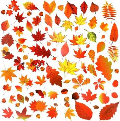 Immagine prodotto di Decorazione autunnale per finestre con foglie d'acero, 170 pezzi, autoadesiva, per vetro