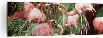 Produktbild von Bild auf Leinwand - Leinwandbild - Einteilig - Palmen Herde Flamingos - 160x50cm - Wand Bild - Wanddeko - Wandbilder - Leinwanddruck - Bilder - Wanddekoration - Leinwand bilder - AB160x50-4804