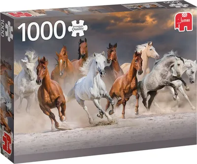 Immagine prodotto di puzzle Cavalli del deserto 1000 Teile