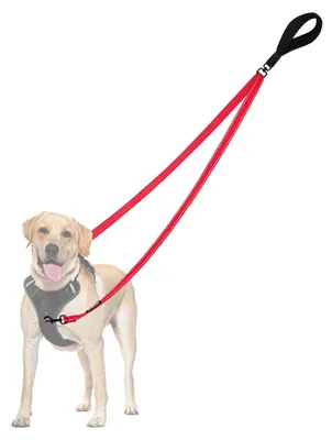 Produktbild von Omgoods – Anti-Ruck-Hundeleine – Reflektierende Doppelleine für das Training