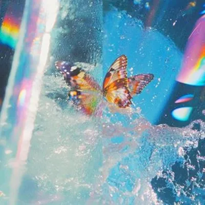 Obrázek produktu pro Daphni: Butterfly