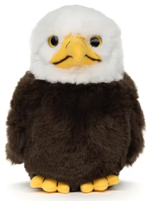 Produktbild von Uni-Toys - Weißkopfseeadler Baby - 17 cm (Höhe) - Plüsch-Vogel, Adler - Plüschtier, Kuscheltier – Weißkopfseeadler Baby (17 Cm)