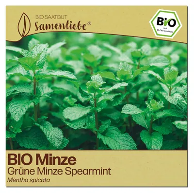 Produktbild von Samenliebe  Minze Samen | Grüne Cocktail-Minze - winterhart & mehrjährig - samenfestes  Saatgut