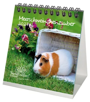 Produktbild von Meerschweinchenzauber Tischkalender 10x10cm für 2027 Meerschweinchen - Seelenzauber