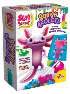 Image de SLUMI SCIENCE POCKET Acelot