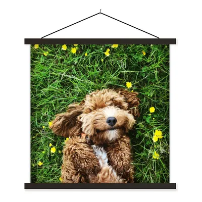 Produktbild von MuchoWow® Textilposter Welpe im Gras liegend 60x60 cm mit schwarzem Rahmen - Posteraufhänger