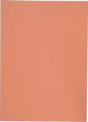 Produktbild von Aktendeckel Karton orange Packung mit 100 Stück
