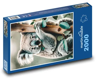 Produktbild von martinpuzzle - Puzzle 2000 Teile - Koala auf einem Baum