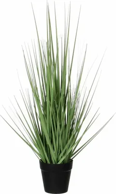 Produktbild von Mica Decorations Kunstliche Pflanze - Ziergras - grun - H53 x T30 cm