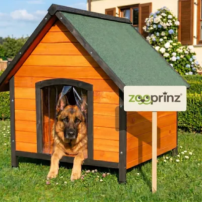 Produktbild von zooprinz Hundehütte Luna Klappdach Lamellen Kiefernholz Wetterfest 111x101x97cm (BxHxT)