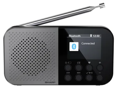 Obrázek produktu pro Sharp DR-P520, Osobní, Digitální, DAB, DAB+, FM, AAC, 5,08 cm (2"), USB typu C