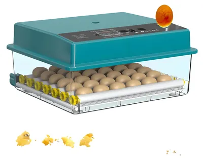 Image de Incubateur d'œufs, capacité de 36 œufs, rotation automatique, alimentation double (36 œufs)
