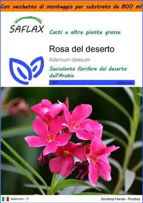 Immagine prodotto di SAFLAX Garden in the bag - Rosa del deserto - 8 semi - Adenium