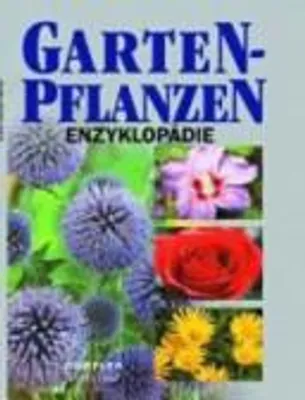 Produktbild von Das grosse Buch der Astrologie | kolektiv