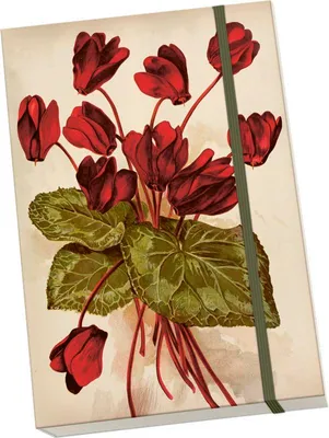 Obrázok produktu pre Notýsek Orange Autumn Plants Cyclamen