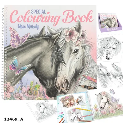 Obrázok produktu pre Miss Melody Special Malbuch