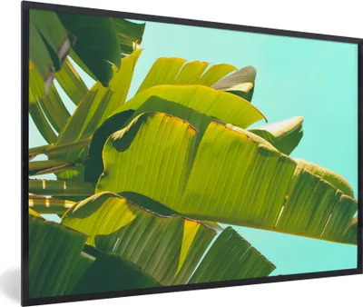Produktbild von MuchoWow® Gerahmtes Poster Bananenblatt - Blätter - Tropisch - Sommer 30x20 cm - Poster mit Schwarzem Bilderrahmen Wandposter Rahmen Foto Bilder - Kunstdruck - Bild-Poster