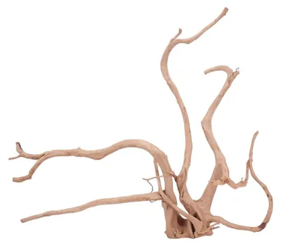 Produktbild von XXL Moorkienwurzel Nr.4327 Holz Deko Aquascaping