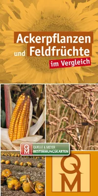 Obrázek produktu pro Ackerpflanzen und Feldfrüchte