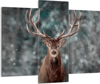 Produktbild von Bild auf Leinwand - Leinwandbild - 3 Teile - Hirsch Hirsch Winter - 130x100cm - Wand Bild - Wanddeko - Wandbilder - Leinwanddruck - Bilder - Wanddekoration - Leinwand bilder - CB130x100-4998