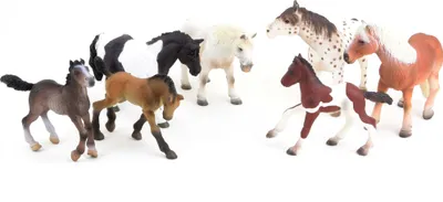 Produktbild von Tierfiguren Set Spielfiguren Tiere 3,5-10 cm  Pferde 7 Figuren - Lewitzer Schecki Knabstrupper Haflinger Camar