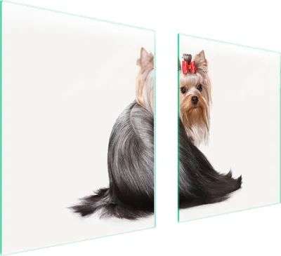 Produktbild von Glasschutzplatte Für Herd 85X52 Hund
