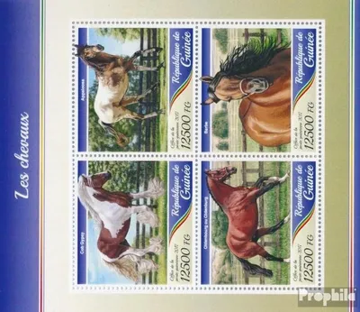 Produktbild von Briefmarken Guinea 2017 Mi 12590-12593 Kleinbogen (kompl. Ausgabe) postfrisch Pferde