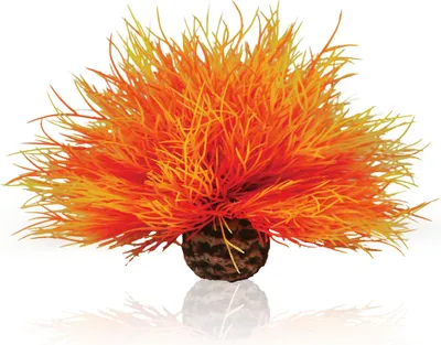 Obrázek produktu pro biOrb Aquatic sea lily flame