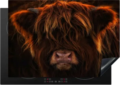 Produktbild von KitchenYeah© Herdabdeckplatte Schottischer Highlander - Kuh - Porträt - Tiere , 75x52cm, Küche Deko, Glaskeramikkochfeld Herdabdeckung, Abdeckplatte fùr Kochfeld