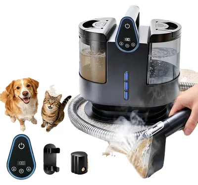 Image de Nettoyeur vapeur, température réglable, 3 modes d'aspiration, couleur noire