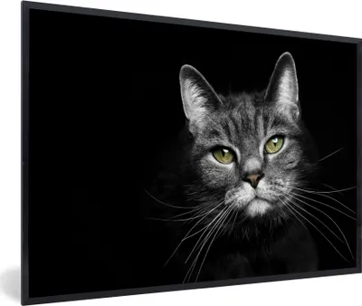 Produktbild von MuchoWow® Gerahmtes Poster Haustiere - Katze - Tiere - Schwarz - Weiß 90x60 cm - Poster mit Schwarzem Bilderrahmen Wandposter Rahmen Foto Bilder - Fotorahmen - Foto-Plakat