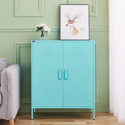 A light blue metal cabinet is shown in a room with light green walls and a grey sofa. A framed picture of a deer and a vase of white flowers are on top of the cabinet.