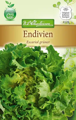 Produktbild von Endivie Escariol | Endiviensalatsamen von N.L. Chrestensen