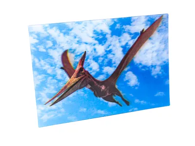 Produktbild von 3 D Ansichtskarte Dinosaurier Pteranodon, Postkarte Wackelkarte Hologrammkarte Tiere Tier Dinos