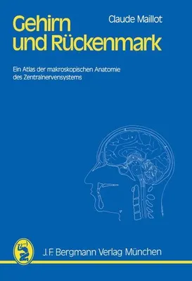 Produktbild von Gehirn und Rückenmark