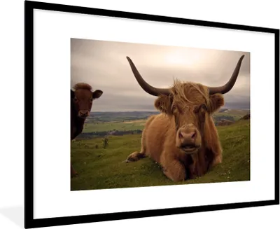 Produktbild von MuchoWow® MuchoWow® Gerahmtes Poster Schottisches Hochlandrind - Tiere - Berg 90x60 cm - Poster mit zchwarzem Bilderrahmen - Wanddekoration - Fotos