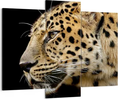 Produktbild von Bild auf Leinwand - Leinwandbild - Tiere Leopard wilde Katze wilde Tiere - 130x100cm - Wand Bild - Wanddeko - Leinwanddruck - Bilder - Kunstdruck - Leinwand bilder - Wandkunst - CB130x100-0433