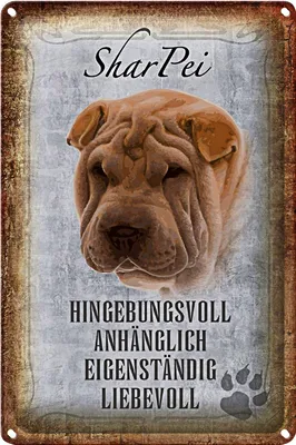 Produktbild von Blechschild Spruch 12x18cm Shar Pei Hund