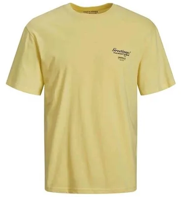 Zdjęcie produktu dla Koszulka Jack&Jones JORGREETINGS TEE SS CREW NECK dla Męskie