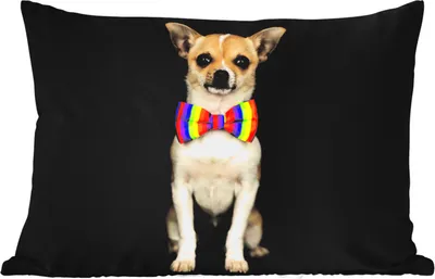 Produktbild von MuchoWow® Outdoor Kissen - Hund - Fliege - Schwarz - 60x40 cm - Wetterfest - Lounge Kissen - Zierkissen - Kissen für Innenräume