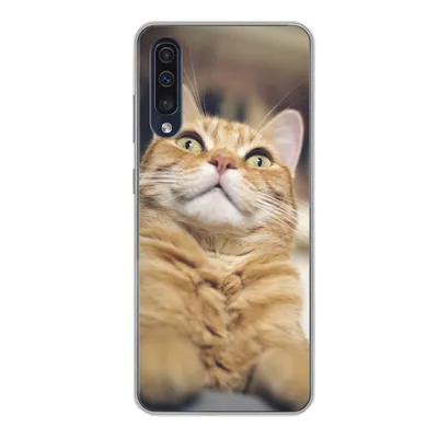 Produktbild von MuchoWow® Handyhülle Schutzhülle Hülle für Samsung Galaxy A50 Katze - Bank - Orange Silikon Softcase Handy Hülle - Mobiltelefonhülle