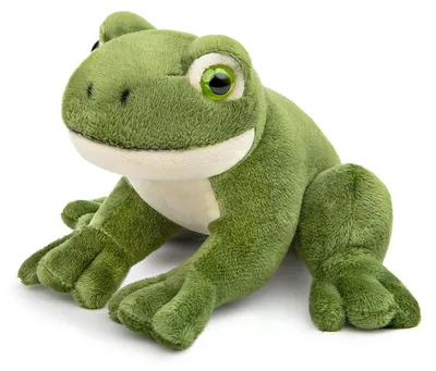 Productafbeelding van Schattige Pluche Kikker 12 cm voor Kinderen
