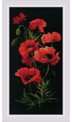 Kreuzstich-Set Klaprozen 25 x 50 cm