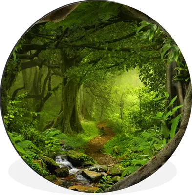 Produktbild von MuchoWow® Aluminium Wandkreis Dschungel - Grün - Natur - Tropisch - Pflanzen Ø 60 cm Wanddeko Modern Wohnzimmer - Wand Kreis - Wandbild - Schlafzimmer - Aluminium Bild - Kinderzimmer - Wohnzimmer Dekoration - Wandschmuck