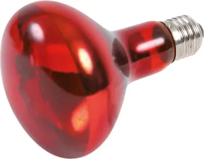 Immagine prodotto di Lampada a spot termico a infrarossi ø 80 × 108 mm
